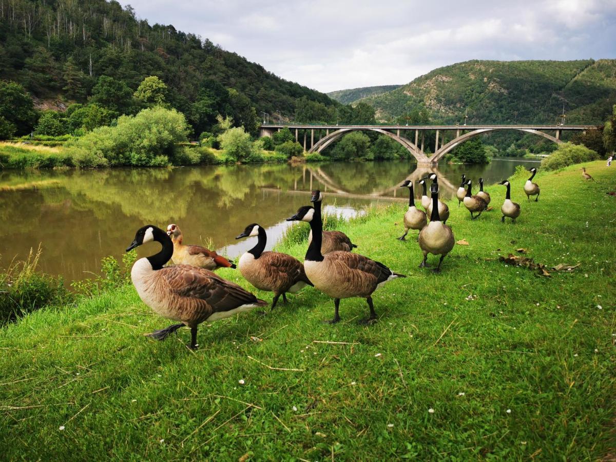 Vila La Bayenne Revin  Exteriér fotografie
