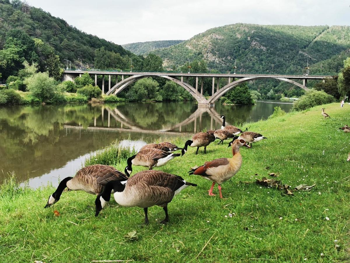 Vila La Bayenne Revin  Exteriér fotografie